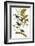 Audubon: Bunting, 1827-38-John James Audubon-Framed Giclee Print