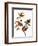 Audubon: Bunting, 1827-John James Audubon-Framed Premium Giclee Print