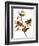 Audubon: Bunting, 1827-John James Audubon-Framed Premium Giclee Print