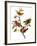 Audubon: Bunting, 1827-John James Audubon-Framed Premium Giclee Print