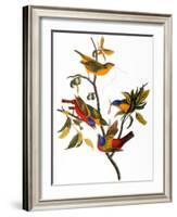 Audubon: Bunting, 1827-John James Audubon-Framed Giclee Print