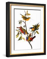 Audubon: Bunting, 1827-John James Audubon-Framed Giclee Print