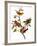 Audubon: Bunting, 1827-John James Audubon-Framed Giclee Print