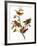 Audubon: Bunting, 1827-John James Audubon-Framed Giclee Print