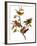 Audubon: Bunting, 1827-John James Audubon-Framed Giclee Print