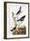 Audubon: Bunting-John James Audubon-Framed Giclee Print