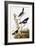 Audubon: Bunting-John James Audubon-Framed Giclee Print