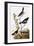 Audubon: Bunting-John James Audubon-Framed Giclee Print