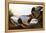 Audubon: Canvasback, 1827-John James Audubon-Framed Premier Image Canvas