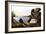 Audubon: Canvasback, 1827-John James Audubon-Framed Giclee Print