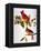 Audubon: Cardinal-John James Audubon-Framed Premier Image Canvas