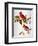 Audubon: Cardinal-John James Audubon-Framed Premium Giclee Print