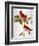 Audubon: Cardinal-John James Audubon-Framed Premium Giclee Print