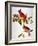 Audubon: Cardinal-John James Audubon-Framed Premium Giclee Print