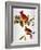 Audubon: Cardinal-John James Audubon-Framed Giclee Print