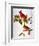 Audubon: Cardinal-John James Audubon-Framed Giclee Print