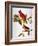 Audubon: Cardinal-John James Audubon-Framed Giclee Print