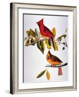 Audubon: Cardinal-John James Audubon-Framed Giclee Print
