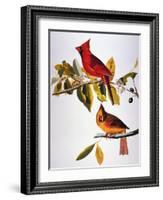 Audubon: Cardinal-John James Audubon-Framed Giclee Print