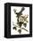 Audubon: Catbird, 1827-38-John James Audubon-Framed Premier Image Canvas