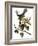 Audubon: Catbird, 1827-38-John James Audubon-Framed Giclee Print