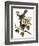 Audubon: Catbird, 1827-38-John James Audubon-Framed Giclee Print