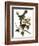 Audubon: Catbird, 1827-38-John James Audubon-Framed Giclee Print