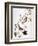 Audubon: Chickadee-John James Audubon-Framed Premium Giclee Print