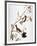 Audubon: Chickadee-John James Audubon-Framed Premium Giclee Print