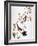 Audubon: Chickadee-John James Audubon-Framed Giclee Print