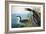 Audubon: Common Loon-John James Audubon-Framed Premium Giclee Print