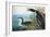 Audubon: Common Loon-John James Audubon-Framed Premium Giclee Print