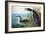 Audubon: Common Loon-John James Audubon-Framed Premium Giclee Print