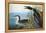 Audubon: Common Loon-John James Audubon-Framed Premier Image Canvas