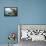 Audubon: Common Loon-John James Audubon-Framed Premier Image Canvas displayed on a wall