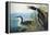 Audubon: Common Loon-John James Audubon-Framed Premier Image Canvas