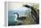 Audubon: Common Loon-John James Audubon-Framed Premier Image Canvas