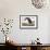 Audubon: Cormorant-John James Audubon-Framed Giclee Print displayed on a wall