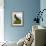 Audubon: Cormorant-John James Audubon-Framed Giclee Print displayed on a wall