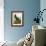 Audubon: Cormorant-John James Audubon-Framed Giclee Print displayed on a wall