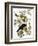 Audubon: Crow-John James Audubon-Framed Premium Giclee Print