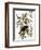 Audubon: Crow-John James Audubon-Framed Premium Giclee Print