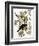 Audubon: Crow-John James Audubon-Framed Premium Giclee Print