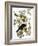 Audubon: Crow-John James Audubon-Framed Giclee Print