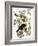 Audubon: Crow-John James Audubon-Framed Giclee Print