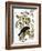 Audubon: Crow-John James Audubon-Framed Giclee Print