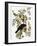 Audubon: Crow-John James Audubon-Framed Giclee Print