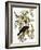 Audubon: Crow-John James Audubon-Framed Giclee Print