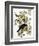 Audubon: Crow-John James Audubon-Framed Giclee Print