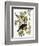 Audubon: Crow-John James Audubon-Framed Giclee Print